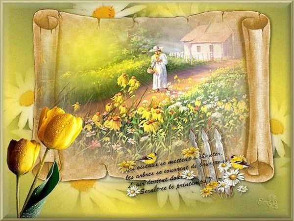 Afficher limage dorigine