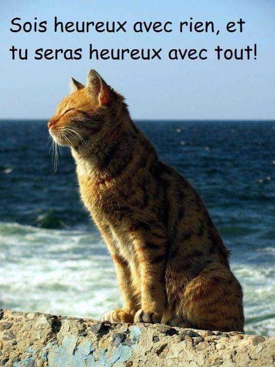 http://chouchougotrain.c.h.pic.centerblog.net/37a58b6a.jpg