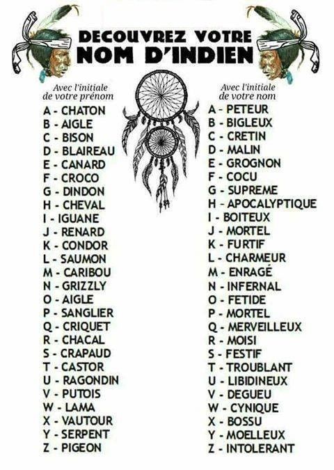 À VOUS DE DÉCOUVRIR - HUMOUR