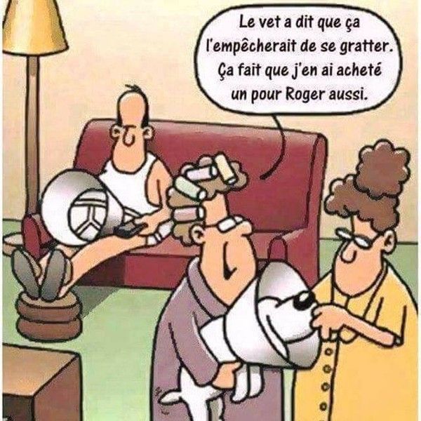 HUMOUR