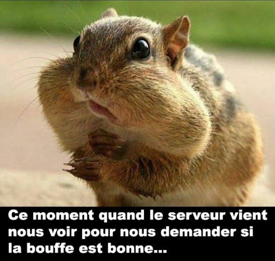 humour-page-18